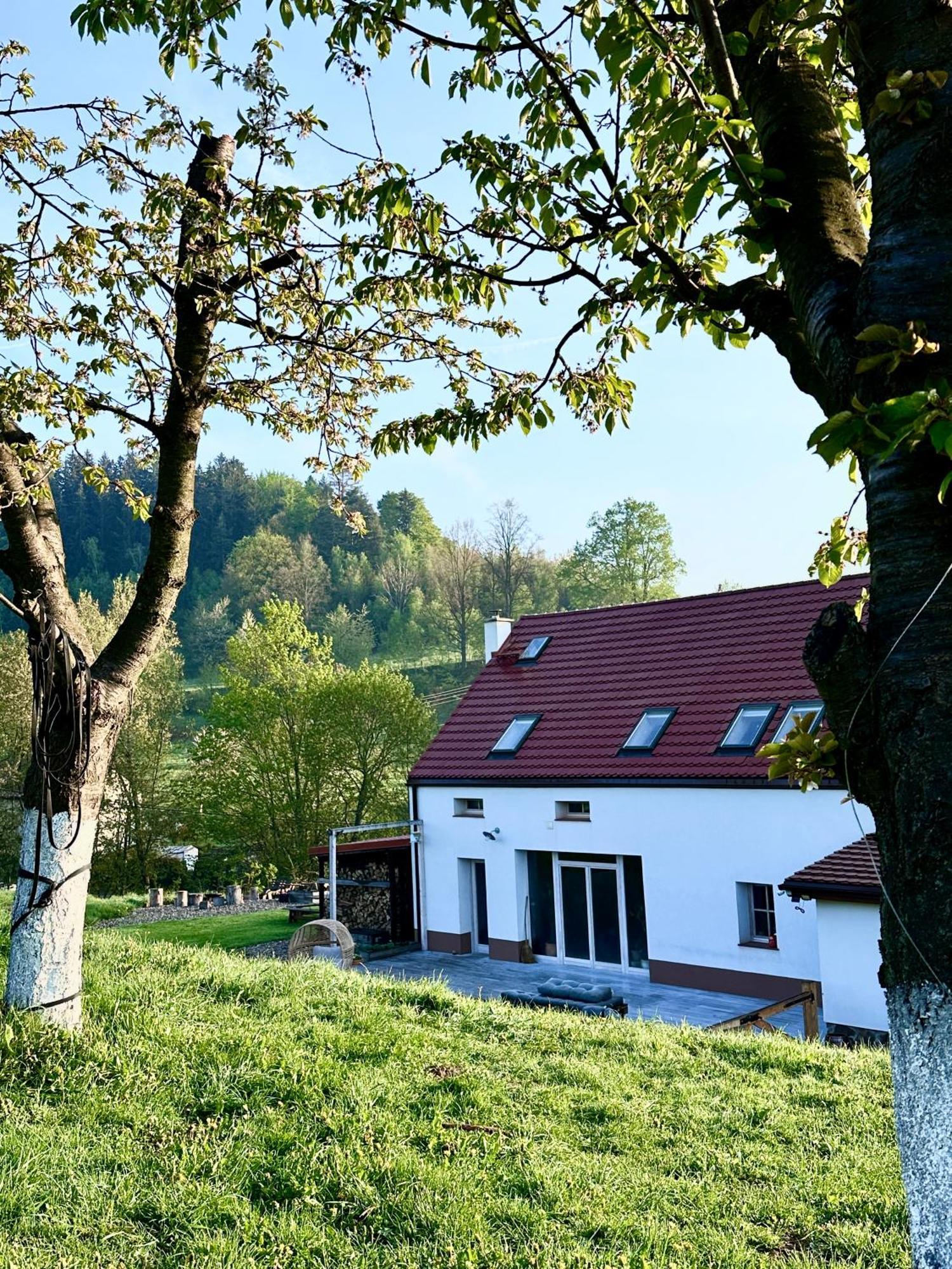 Zapomnienie Villa Nowa Ruda Buitenkant foto
