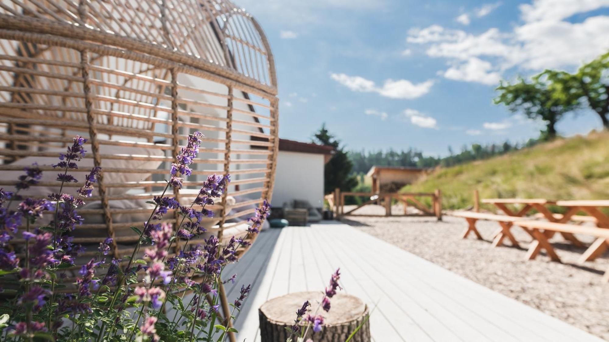 Zapomnienie Villa Nowa Ruda Buitenkant foto
