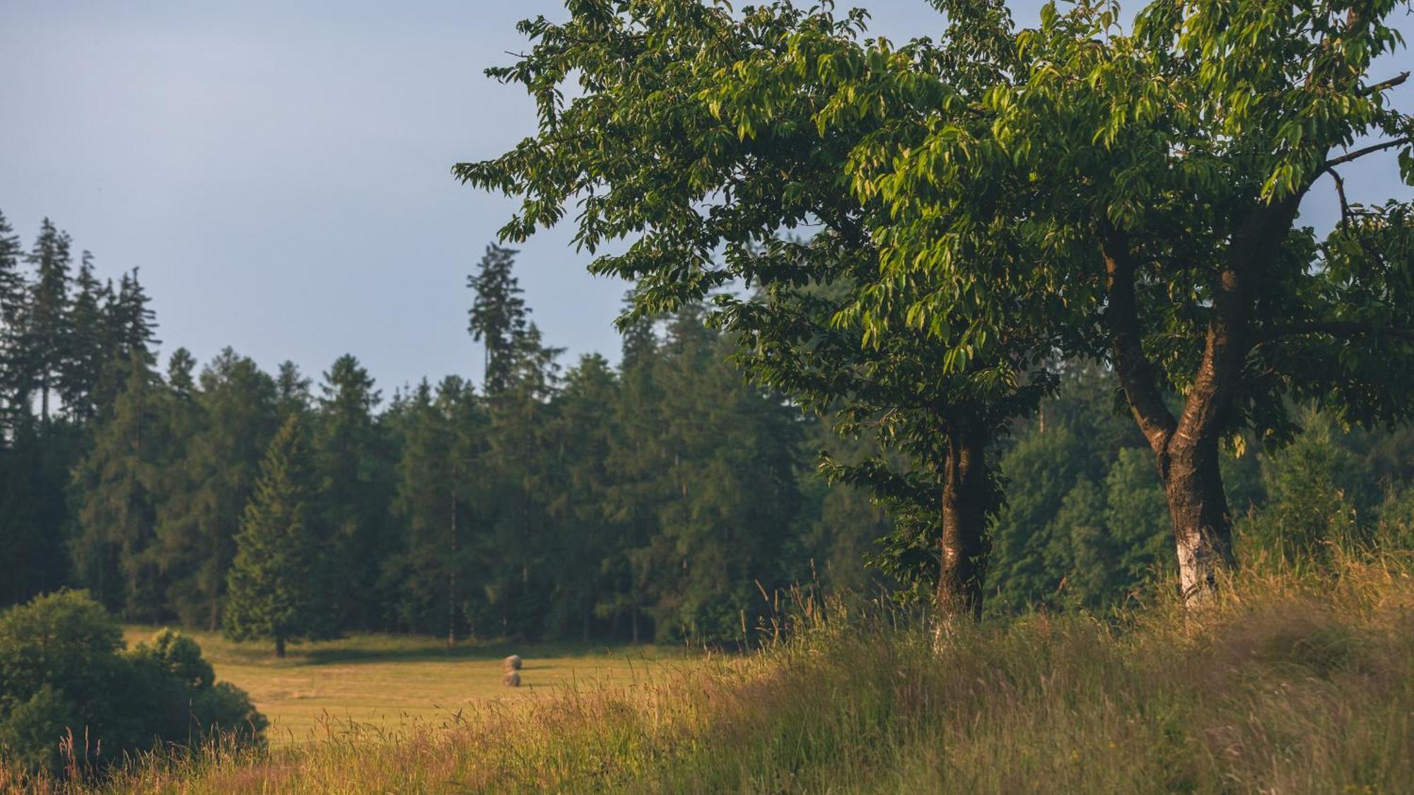 Zapomnienie Villa Nowa Ruda Buitenkant foto